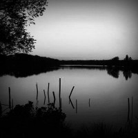 /album/sympgeconado/photolia-b01-jpg/